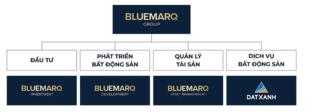 Mô hình hoạt động của BLUEMARQ GROUP